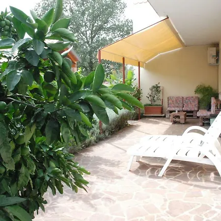 Guest house Radin