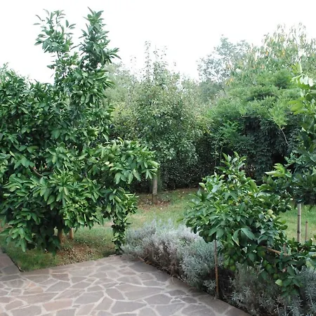 Radin Πανσιόν 3*