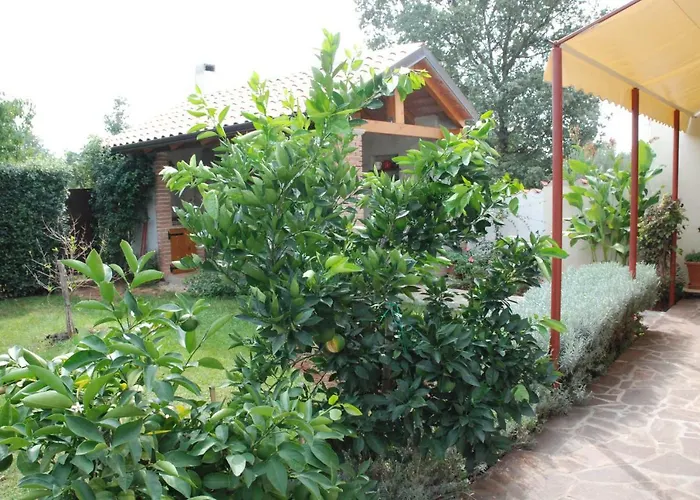 Radin 3*